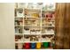 Well-organized pantry with an array of storage containers, shelves, and a wooden door at 19777 E Ivy Ln, Queen Creek, AZ 85142