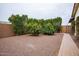 Side yard featuring drought-tolerant gravel landscaping with a paver walkway and mature citrus trees at 19777 E Ivy Ln, Queen Creek, AZ 85142