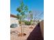 Spacious backyard featuring young trees, stone firepit, and low maintenance landscaping at 6887 S Teresa Dr, Chandler, AZ 85249