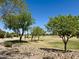 Scenic community park featuring walking paths, mature trees, and well-maintained lawns at 6887 S Teresa Dr, Chandler, AZ 85249