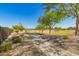Scenic community path lined with mature trees and lush landscaping for walking or biking at 6887 S Teresa Dr, Chandler, AZ 85249