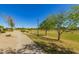 Well-maintained community path with manicured lawns and shady trees, perfect for leisurely strolls at 6887 S Teresa Dr, Chandler, AZ 85249