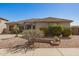 Attractive single-story home with well-maintained desert landscaping at 6887 S Teresa Dr, Chandler, AZ 85249