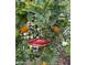 Hummingbird feeding from a nectar feeder in an orange tree, adding a whimsical touch to the backyard at 6887 S Teresa Dr, Chandler, AZ 85249