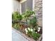 Beautiful landscaping showcasing flower garden with blooming plants near stone accent wall at 6887 S Teresa Dr, Chandler, AZ 85249