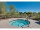 Relaxing outdoor spa with tile accents, surrounded by desert plants and privacy fence at 10226 E Pine Valley Rd, Scottsdale, AZ 85255