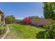 Backyard featuring lush grass, shrubs, and a block wall at 10359 E Jacob Ave, Mesa, AZ 85209