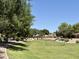 Community soccer field with well-maintained grass, mature trees, and clear blue skies at 10359 E Jacob Ave, Mesa, AZ 85209