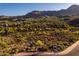 Aerial image of desert homes nestled within a desert landscape under a sunny sky at 16856 N Mountain Pkwy, Fountain Hills, AZ 85268