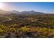 Expansive desert view showcases native vegetation and homes nestled in the hills at 16856 N Mountain Pkwy, Fountain Hills, AZ 85268