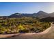 Expansive desert landscape with native plants, mountains, and luxurious homes at 16856 N Mountain Pkwy, Fountain Hills, AZ 85268