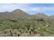 Scenic desert landscape featuring custom homes nestled amidst native vegetation and towering mountains at 16856 N Mountain Pkwy, Fountain Hills, AZ 85268