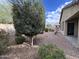 Lush backyard with mature trees and desert landscaping surrounds this single Gathering home at 4440 S Leisure Way, Gilbert, AZ 85297