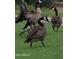 A gaggle of Canada Geese relax in the lush green community grass at 4440 S Leisure Way, Gilbert, AZ 85297