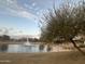 Scenic pond view with a fountain, lush landscaping, and trees on the community grounds at 4440 S Leisure Way, Gilbert, AZ 85297