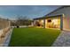 Lush green backyard showcasing the extended covered patio, well-maintained lawn, and landscaped surroundings at 6404 W Black Hill Rd, Phoenix, AZ 85083