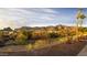 Backyard featuring desert landscaping, fence, and stunning mountain views in a sunny, scenic outdoor space at 10322 E Breathless Ave, Gold Canyon, AZ 85118