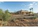 Single story home with desert landscaping, palm trees, and a decorative retaining wall at 10322 E Breathless Ave, Gold Canyon, AZ 85118