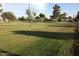 Expansive community greenspace showcasing lush grass, scattered trees, and inviting atmosphere at 10350 W Deanne Dr, Sun City, AZ 85351