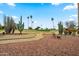 Desert landscaped backyard featuring mature Saguaro cactus, gravel beds, and a golf course view at 10453 W White Mountain Rd, Sun City, AZ 85351