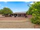 Backyard view featuring a covered patio, lush citrus trees, and beautifully landscaped grounds at 10453 W White Mountain Rd, Sun City, AZ 85351