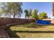 A wide open backyard with an in-ground pool, mature trees, block fencing, and an expansive grass area at 15558 N 136Th Ln, Surprise, AZ 85374