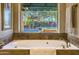 Soaking tub under a window offering backyard views with a glimpse of the pool and a small green garden at 16402 N 48Th Way, Scottsdale, AZ 85254