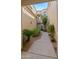 Picturesque walkway featuring lush greenery, desert landscaping, and inviting entrance at 19550 N Grayhawk Dr # 2038, Scottsdale, AZ 85255