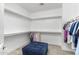 Spacious walk-in closet with ample shelving and storage solutions at 20750 N 87Th St # 1137, Scottsdale, AZ 85255