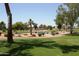 Picturesque golf course view featuring lush green fairways, mature trees, and a serene pond at 26405 S Lakewood Dr, Sun Lakes, AZ 85248