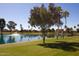 Scenic view of a peaceful pond surrounded by mature trees and well-manicured lawns at 26405 S Lakewood Dr, Sun Lakes, AZ 85248