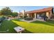 Manicured backyard with grass, citrus trees, covered patio, and a fountain at 315 W Sonoma Dr, Litchfield Park, AZ 85340