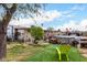 Backyard with green artificial turf, above ground pool, and covered patio at 4202 N 74Th Dr, Phoenix, AZ 85033