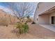 Backyard featuring desert landscaping, shade tree, and covered patio area at 4718 E Pearl Rd, San Tan Valley, AZ 85143