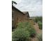 Side yard includes colorful bushes and privacy fencing at 4820 N 210Th Ave, Buckeye, AZ 85396