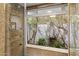 Up close view of modern shower with window to plants and trees outside at 6801 N 1St Pl, Phoenix, AZ 85012