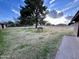 Expansive backyard featuring lush green grass, a mature shade tree, and ample space for outdoor activities at 9620 S 156Th Pl, Gilbert, AZ 85234