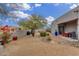 Desert landscaped backyard with gravel, mature trees, colorful potted plants, and barbecue at 9781 E Gamble Ln, Scottsdale, AZ 85262