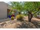 Exterior backyard view with stone landscaping, desert trees, red table and chairs at 9781 E Gamble Ln, Scottsdale, AZ 85262