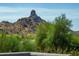 Scenic mountain view surrounded by desert landscape and lush greenery at 9781 E Gamble Ln, Scottsdale, AZ 85262