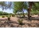 Community park shaded with large trees, grassy area and walking trails at 9781 E Gamble Ln, Scottsdale, AZ 85262