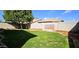 Large backyard features a well-maintained lawn, mature tree, and garden at 12360 W Sherman St, Avondale, AZ 85323