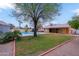 Sprawling backyard featuring a lush green lawn, mature trees and a private pool at 14005 N 19Th Way, Phoenix, AZ 85022