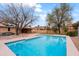 The backyard features a sparkling blue swimming pool with a brick surround and covered patio area at 14005 N 19Th Way, Phoenix, AZ 85022