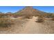 Scenic desert hiking trail amidst native vegetation, offering an outdoor experience at 14005 N 19Th Way, Phoenix, AZ 85022