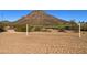 Community volleyball court with sand surface, providing a fun recreational space with mountain views at 14005 N 19Th Way, Phoenix, AZ 85022