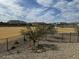 View of the community park with a fenced perimeter, local landscaping, and nearby homes at 1531 S 239Th Dr, Buckeye, AZ 85326