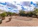 Low-maintenance backyard with desert landscaping and mature trees at 16019 W Heritage Dr, Sun City West, AZ 85375