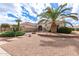 Beautiful front yard with desert landscaping, including mature palm trees and stone pathways at 16019 W Heritage Dr, Sun City West, AZ 85375