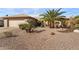 Expansive front yard featuring desert landscaping, including a large palm tree and various cacti at 1873 Leisure World --, Mesa, AZ 85206